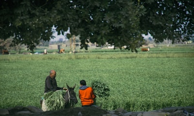 a couple of people that are standing in a field