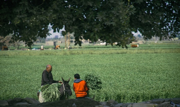 a couple of people that are standing in a field