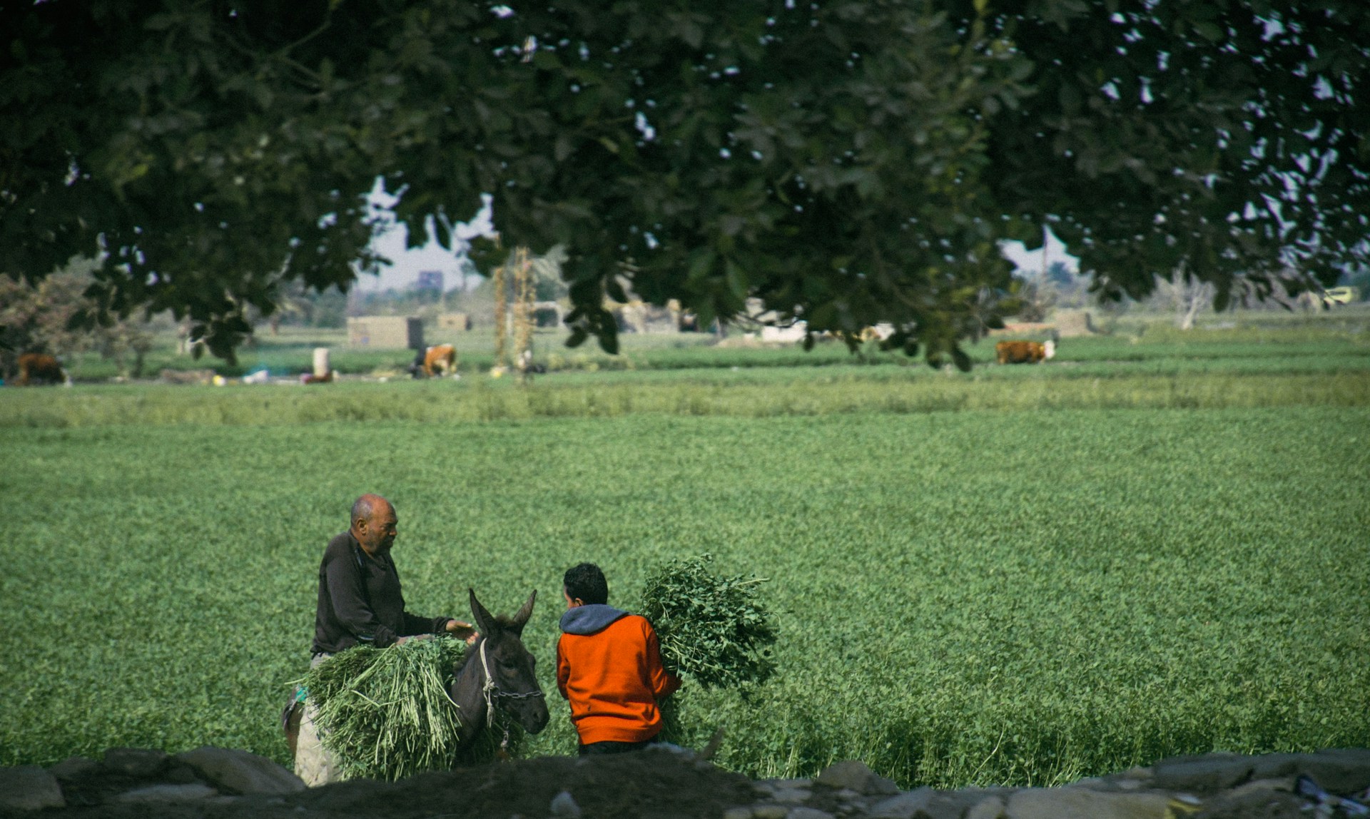 a couple of people that are standing in a field