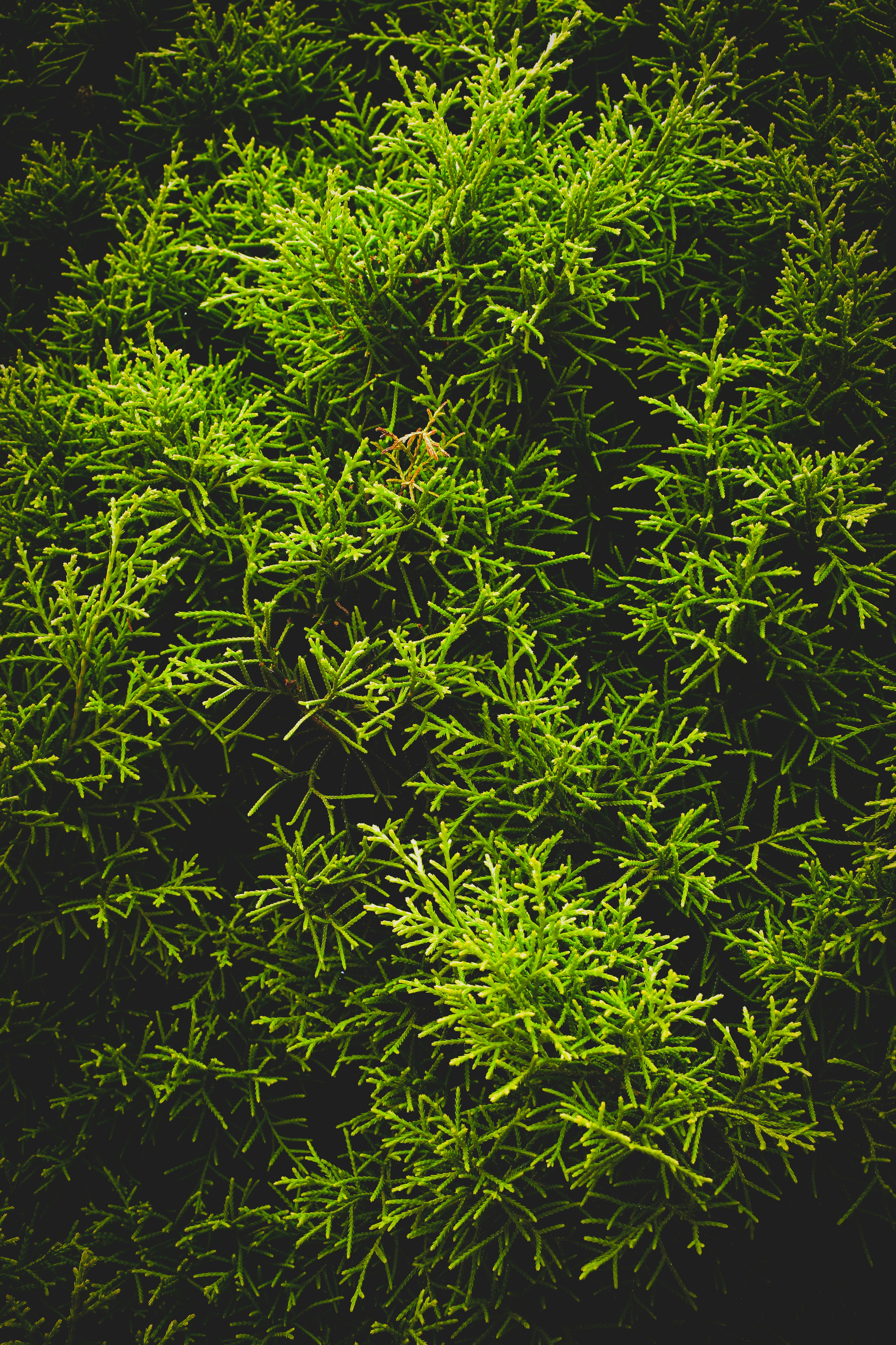 Photo by navi_photography