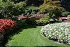 a lush green lawn with white and red flowers