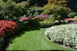 Close-up of colorful flower beds and trimmed shrubs in a Medina garden.