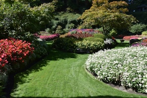 a lush green lawn with white and red flowers