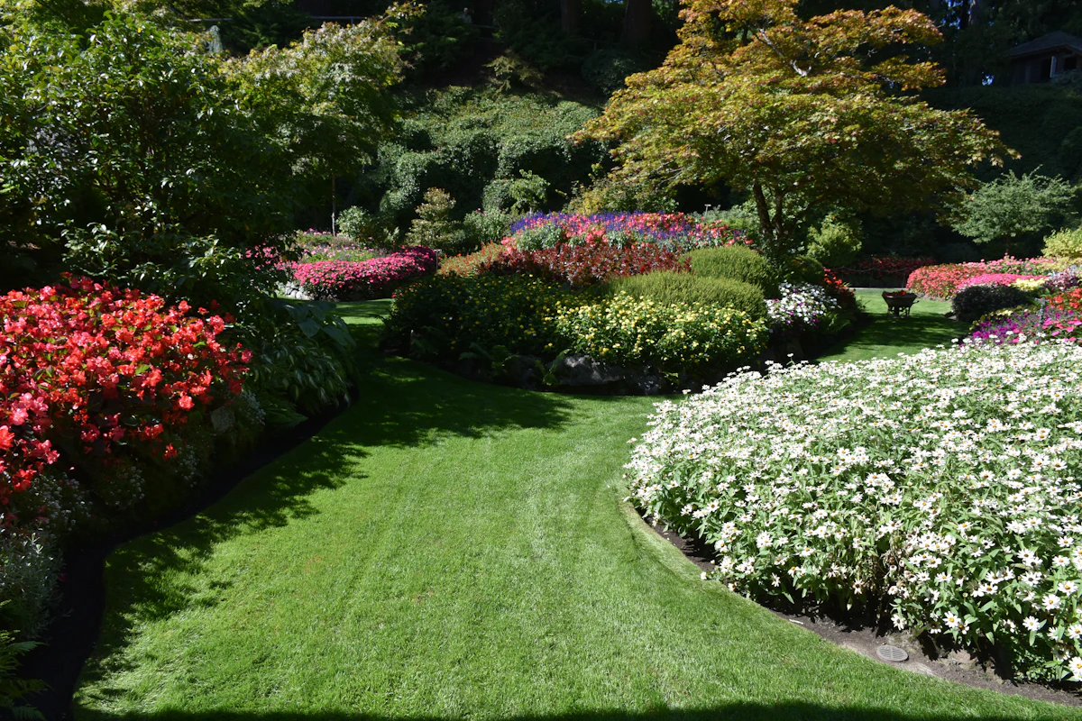 Residential landscape with a mown grass path between curved flower beds, showing clear bed edges, plant massing, and a visible ground-level irrigation access point
