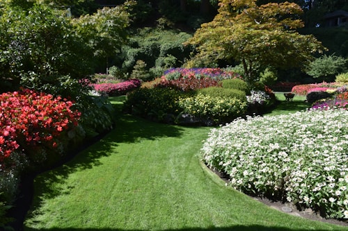 A vibrant garden scene featuring neatly manicured lawns surrounded by a variety of lush, colorful flowers and shrubs. There are sections of red, yellow, white, and purple flowers, with an assortment of trees and bushes in the background. The composition creates a sense of symmetry and tranquility.