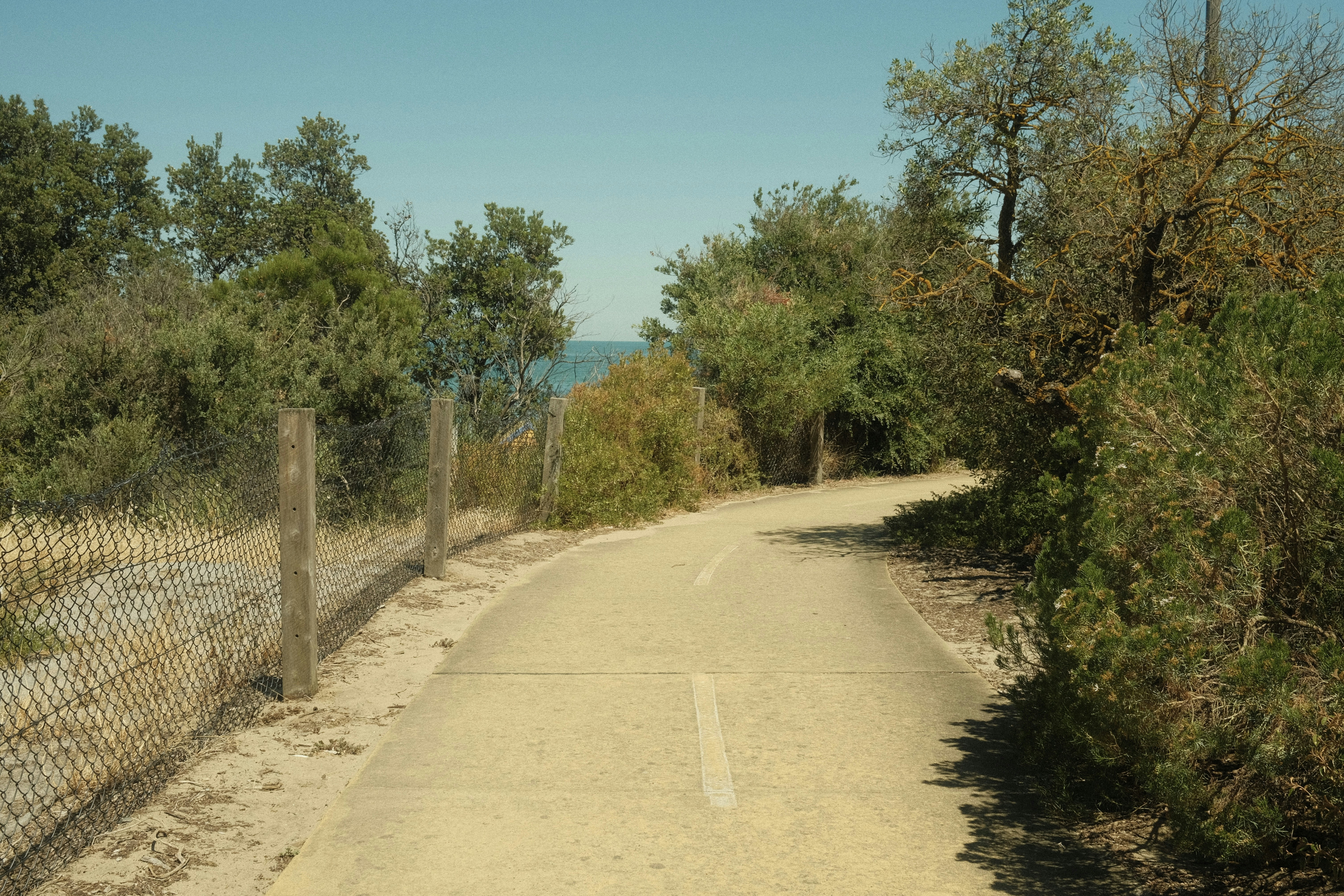 Photo by sophiepengjy