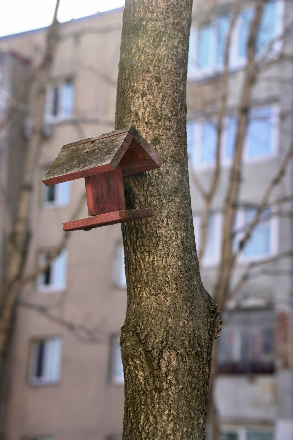 una casa de pájaros en un árbol frente a un edificio