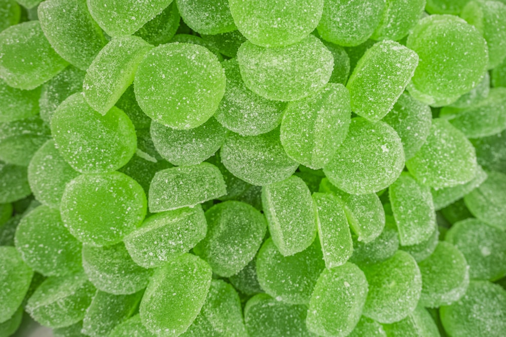 a close up of a bunch of green candies