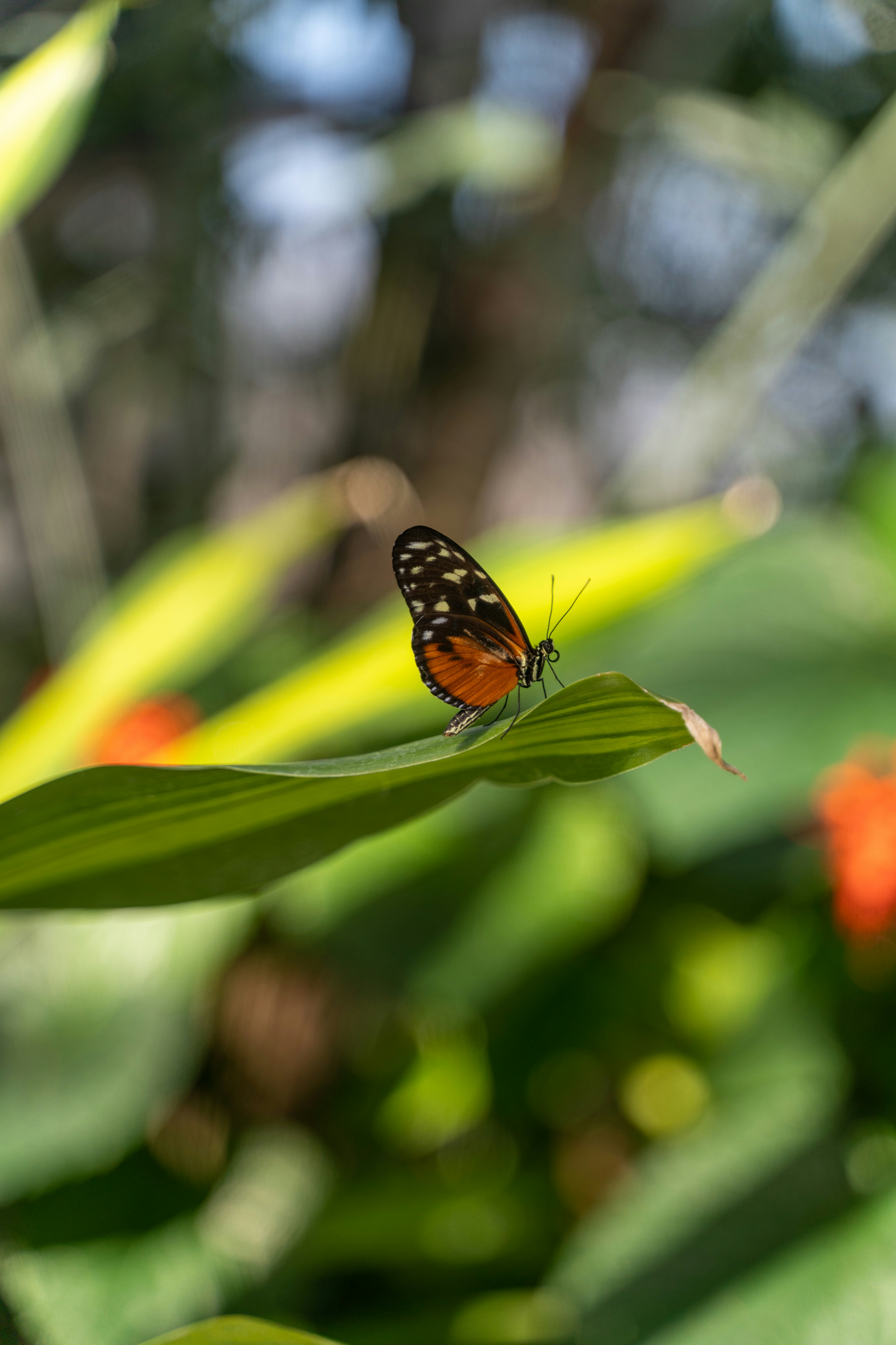Photo by amzmahmoud