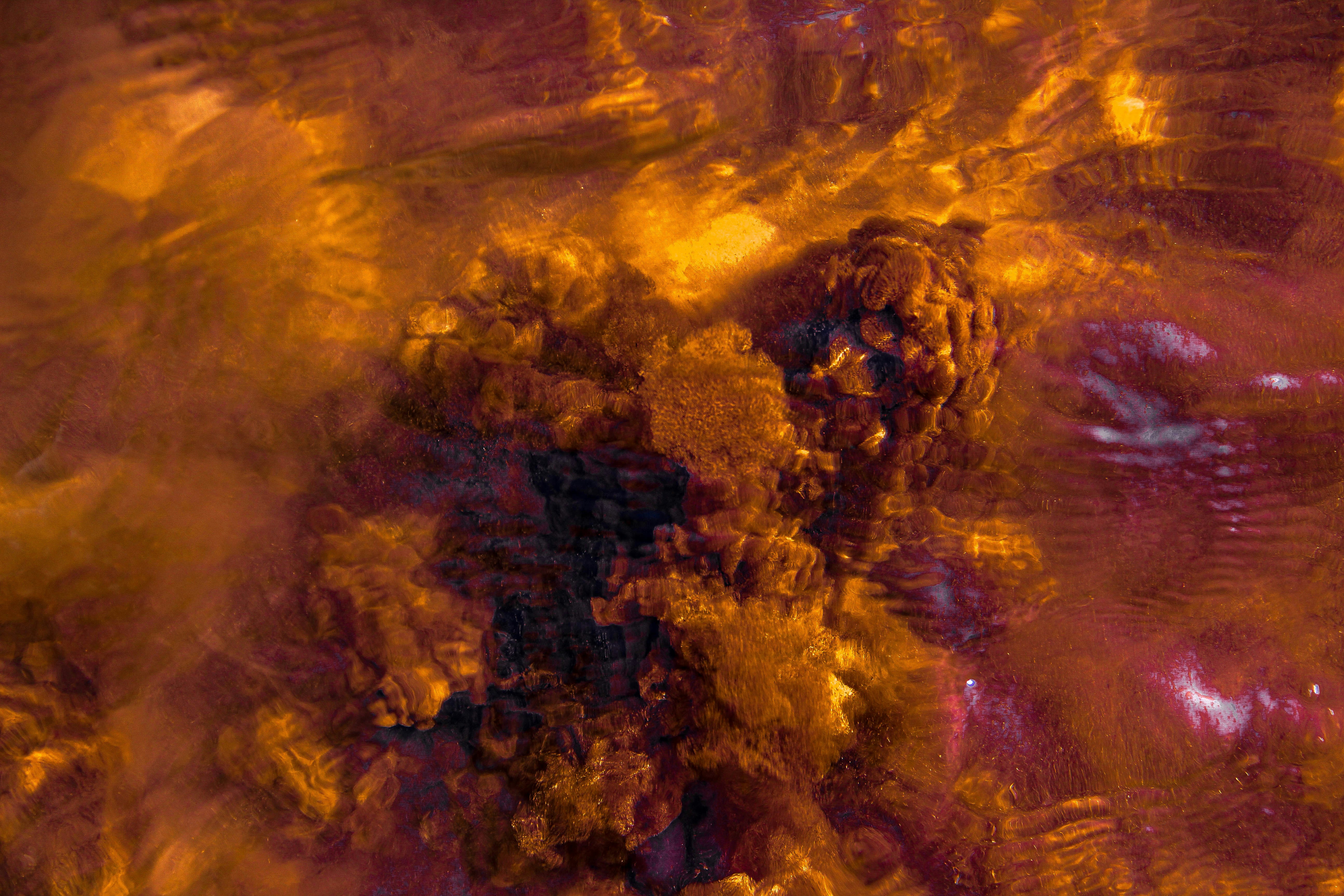 Photo by joao_dionisio