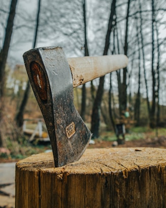 an old axe stuck in a tree stump