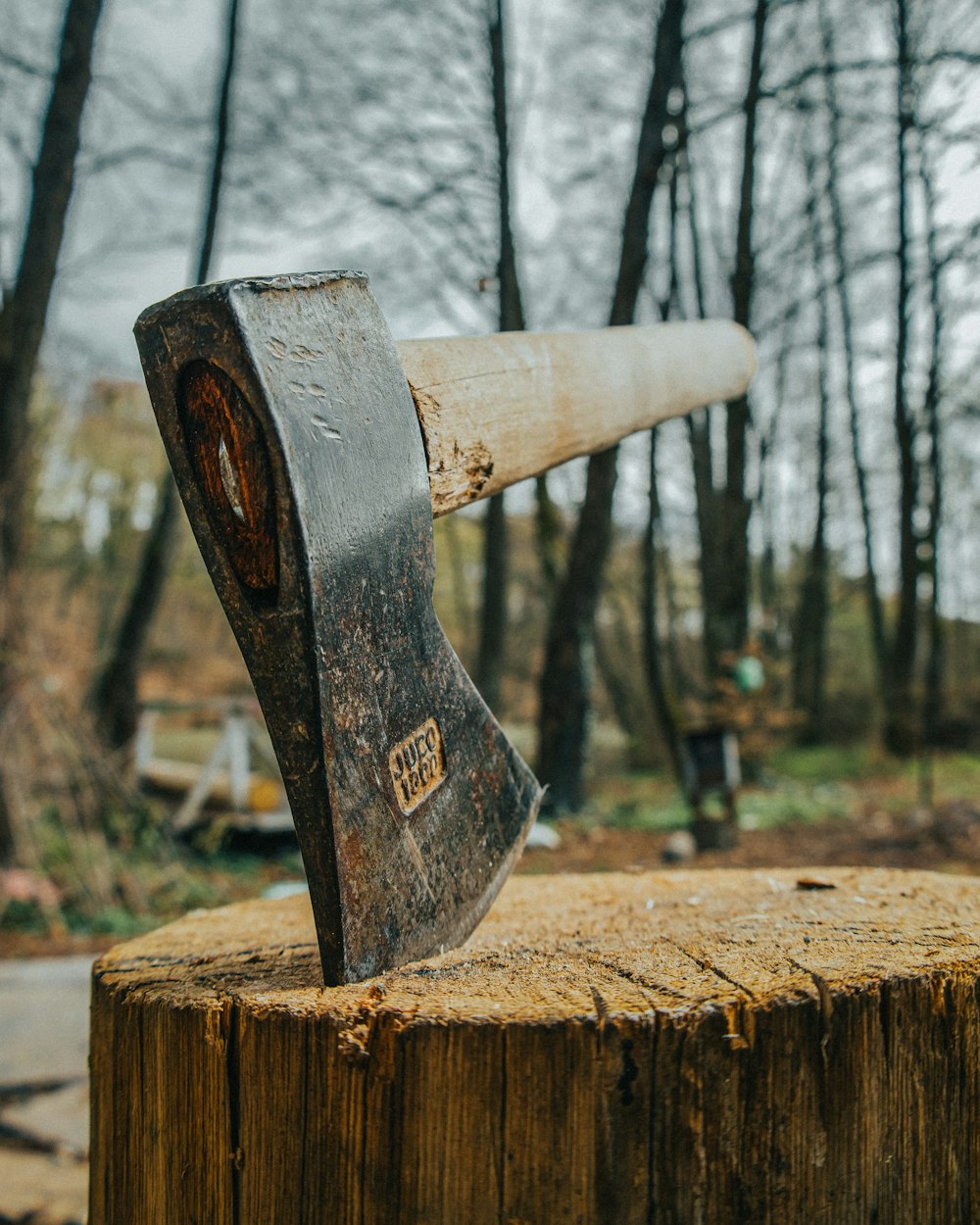 an old axe stuck in a tree stump