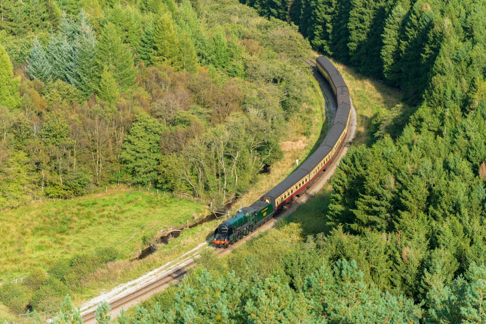 a train traveling through a lush green forest