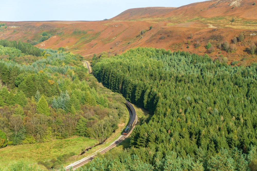 a train traveling through a lush green forest