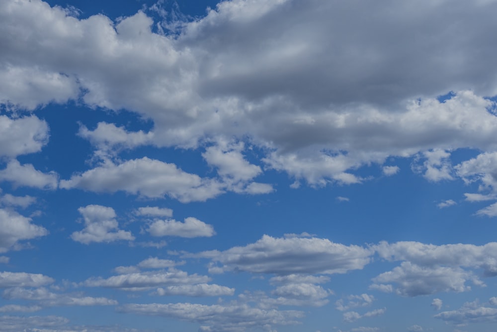 a group of people standing on top of a beach under a cloudy blue sky