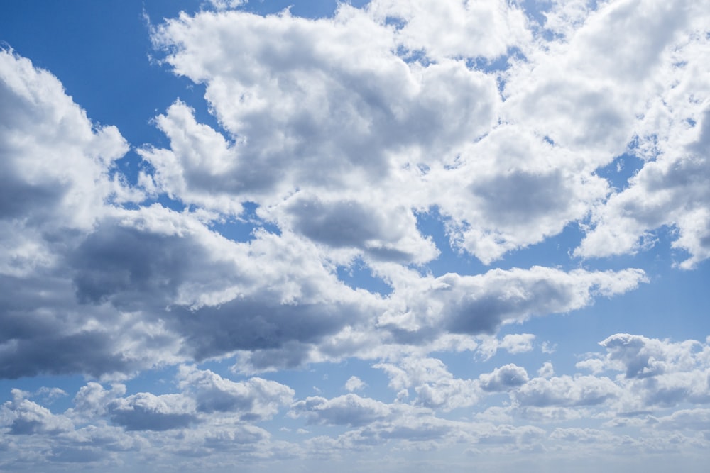 a group of people standing on a beach under a cloudy blue sky