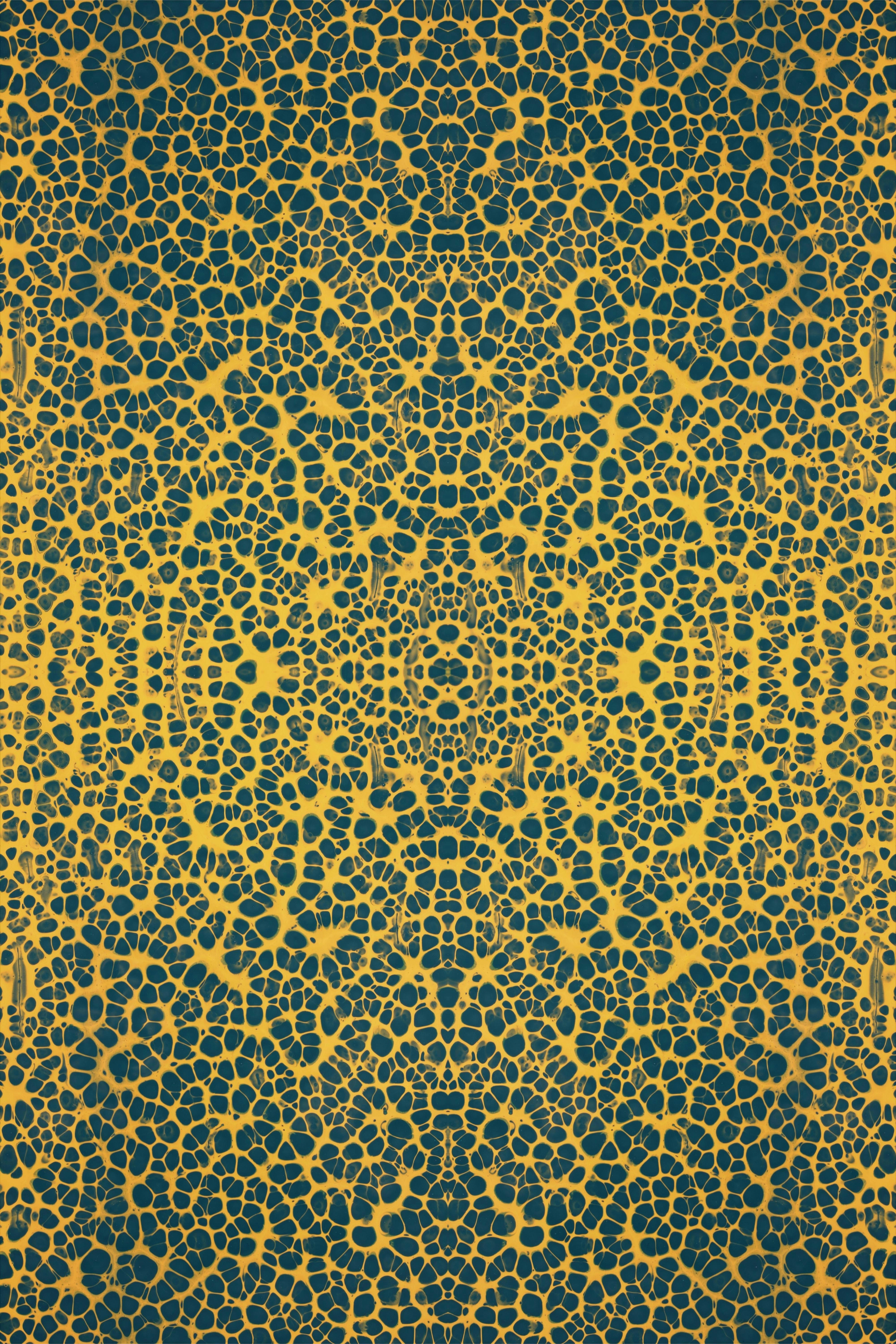 a yellow and blue background with small dots