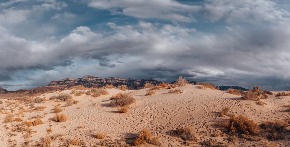 a desert landscape with a mountain in the background