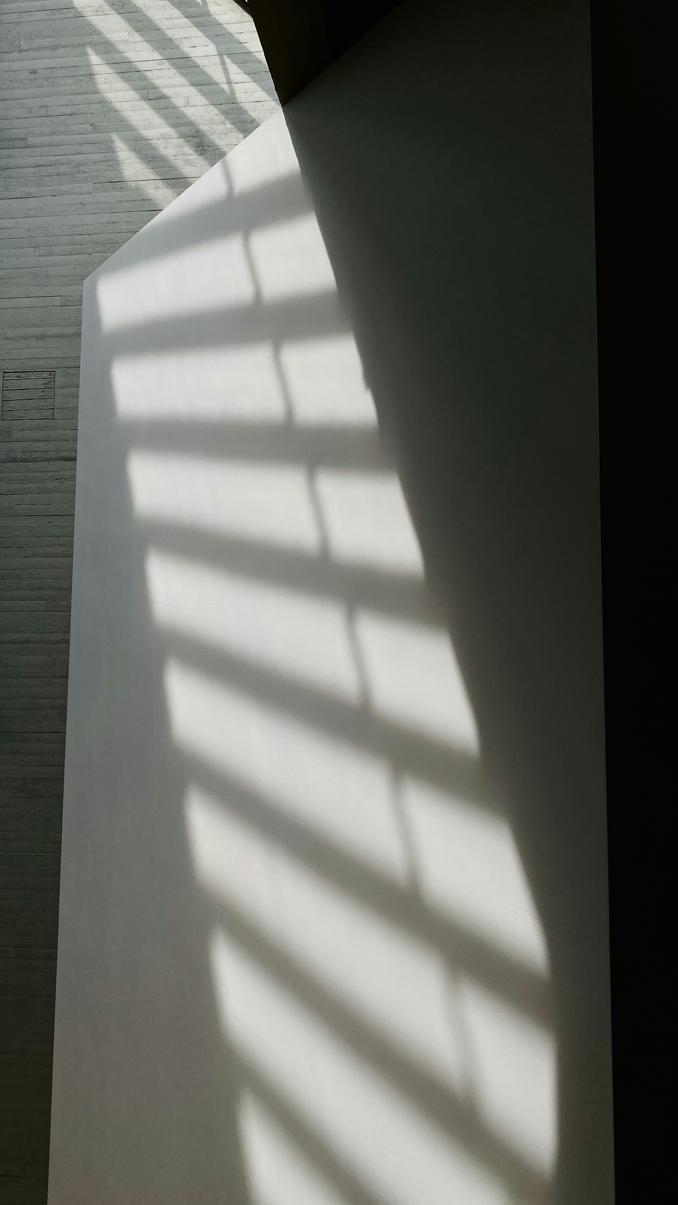 Photo by filipp_roman_photography