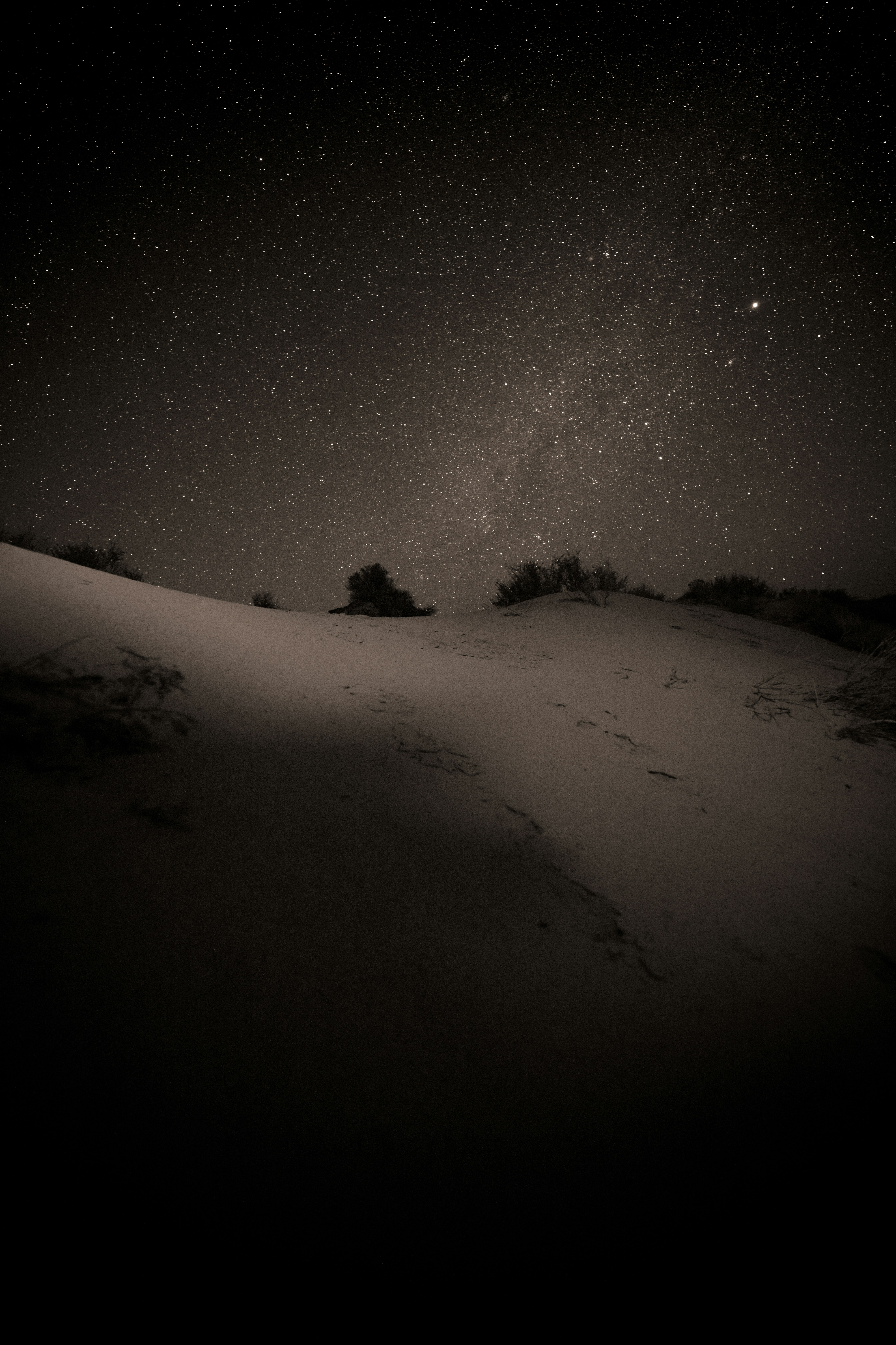 Photo by worldsbetweenlines