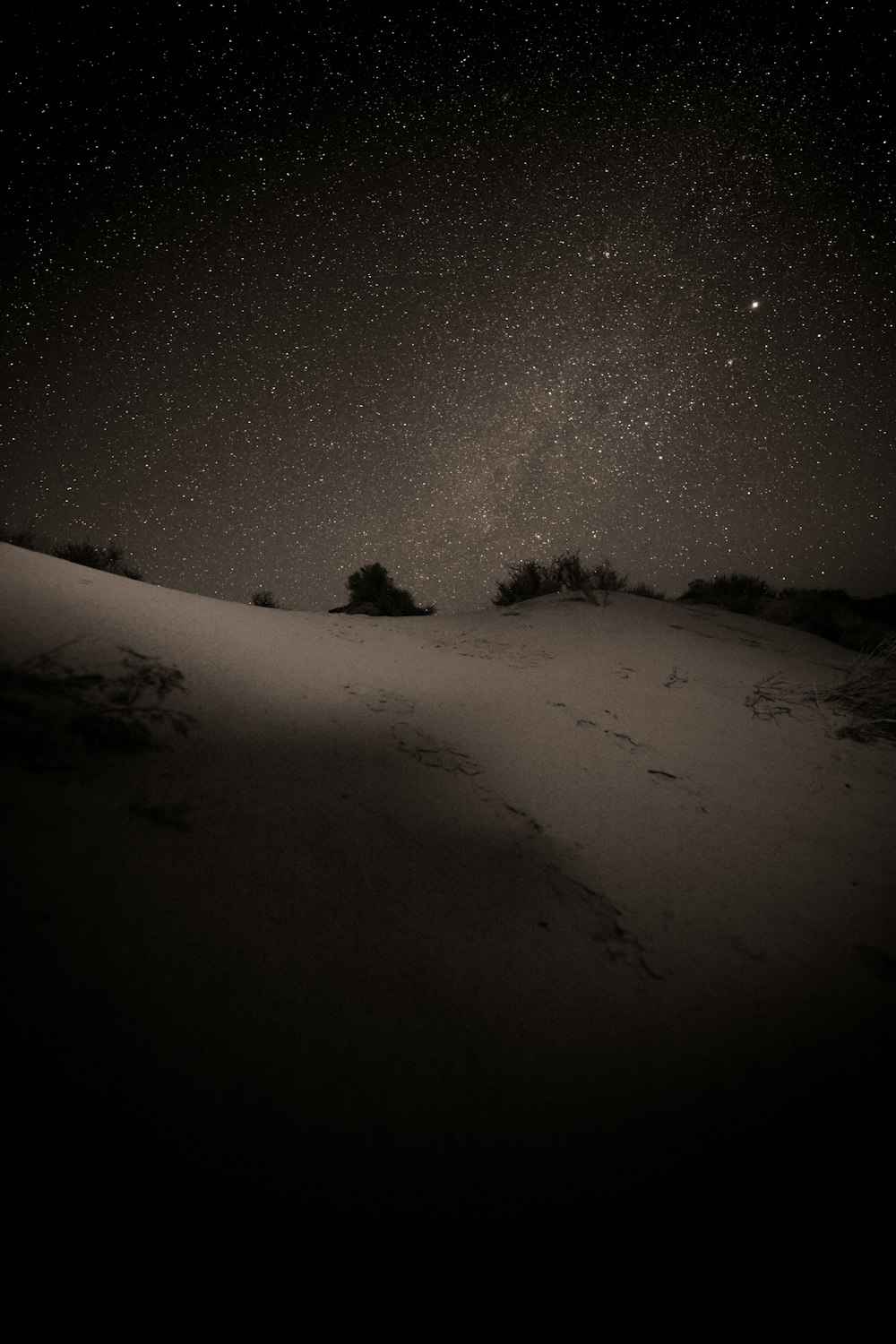 the night sky with stars above a snowy field