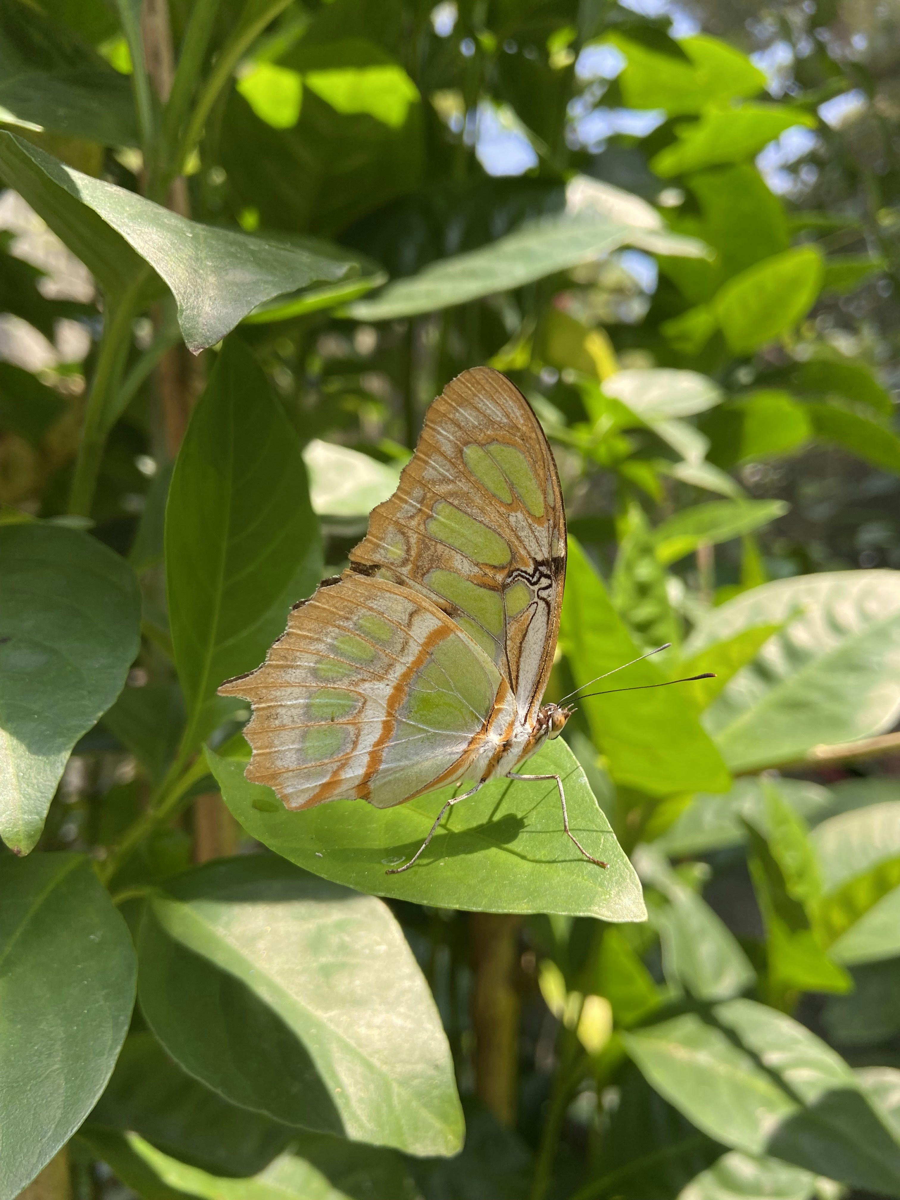 Photo by rcorreamariana