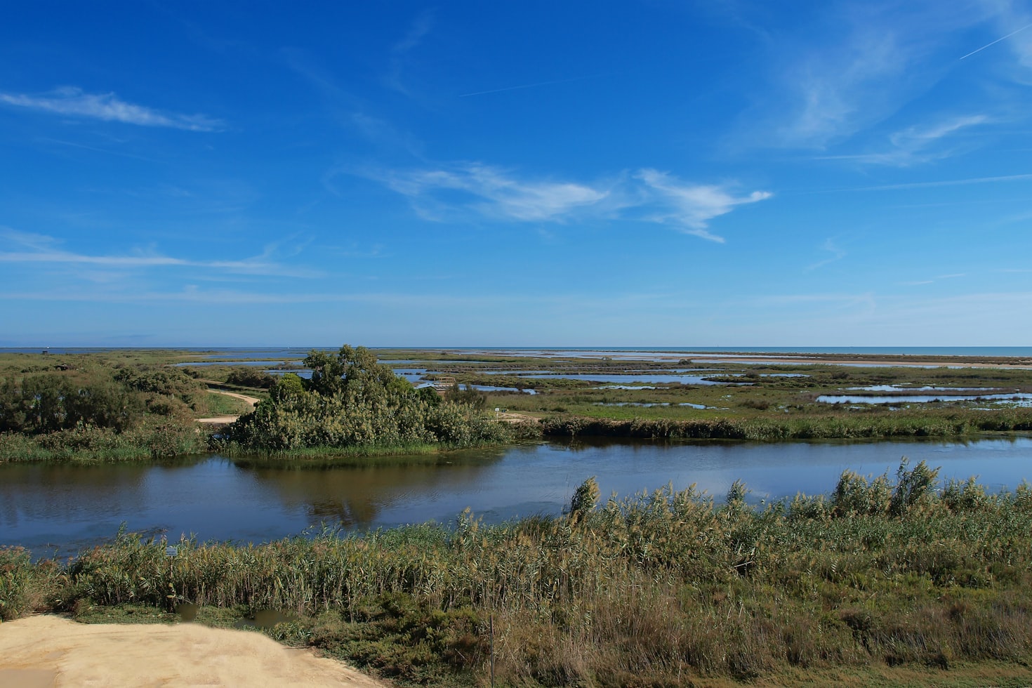 Delta rzeki Ebro