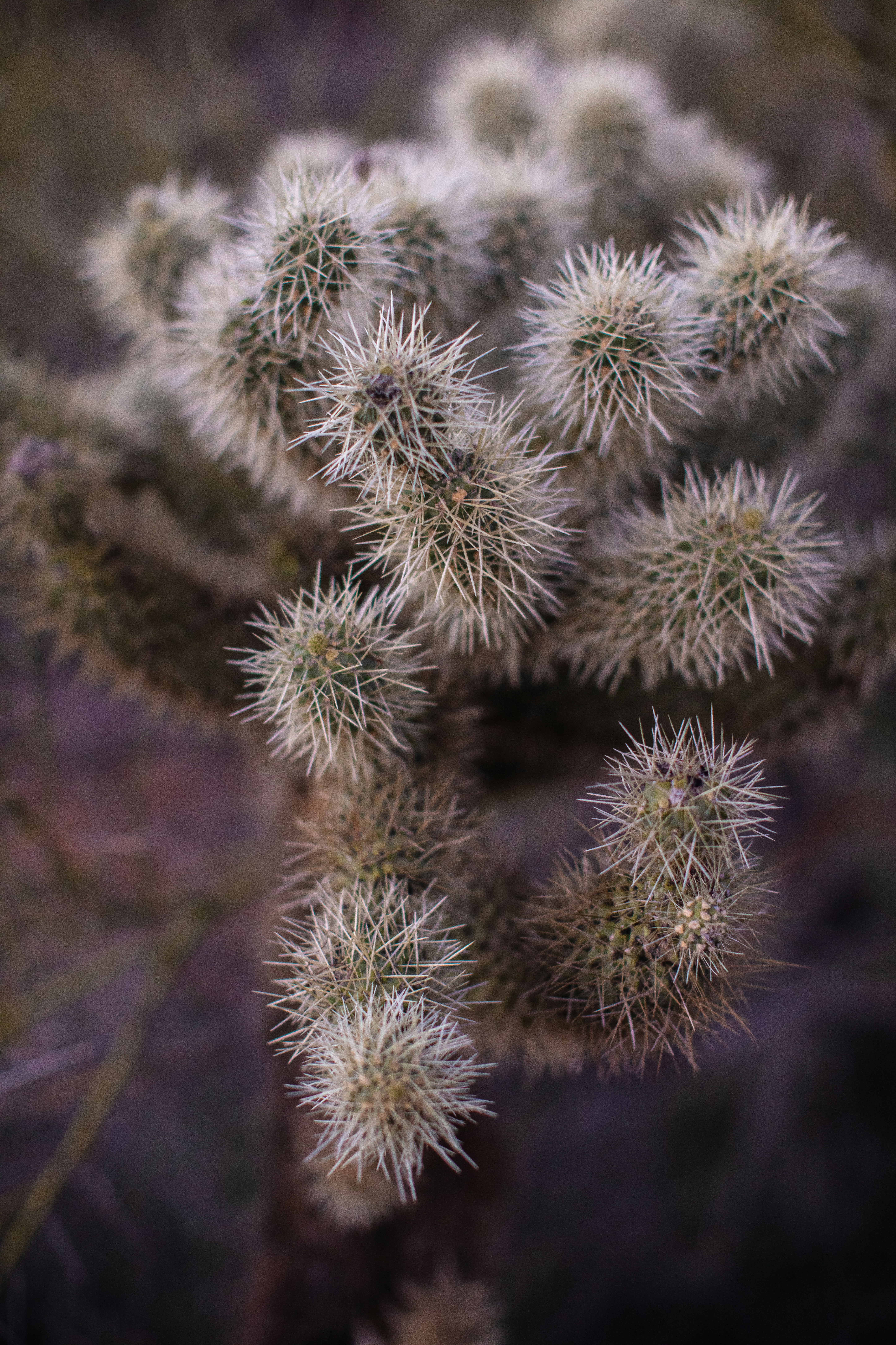 Photo by worldsbetweenlines