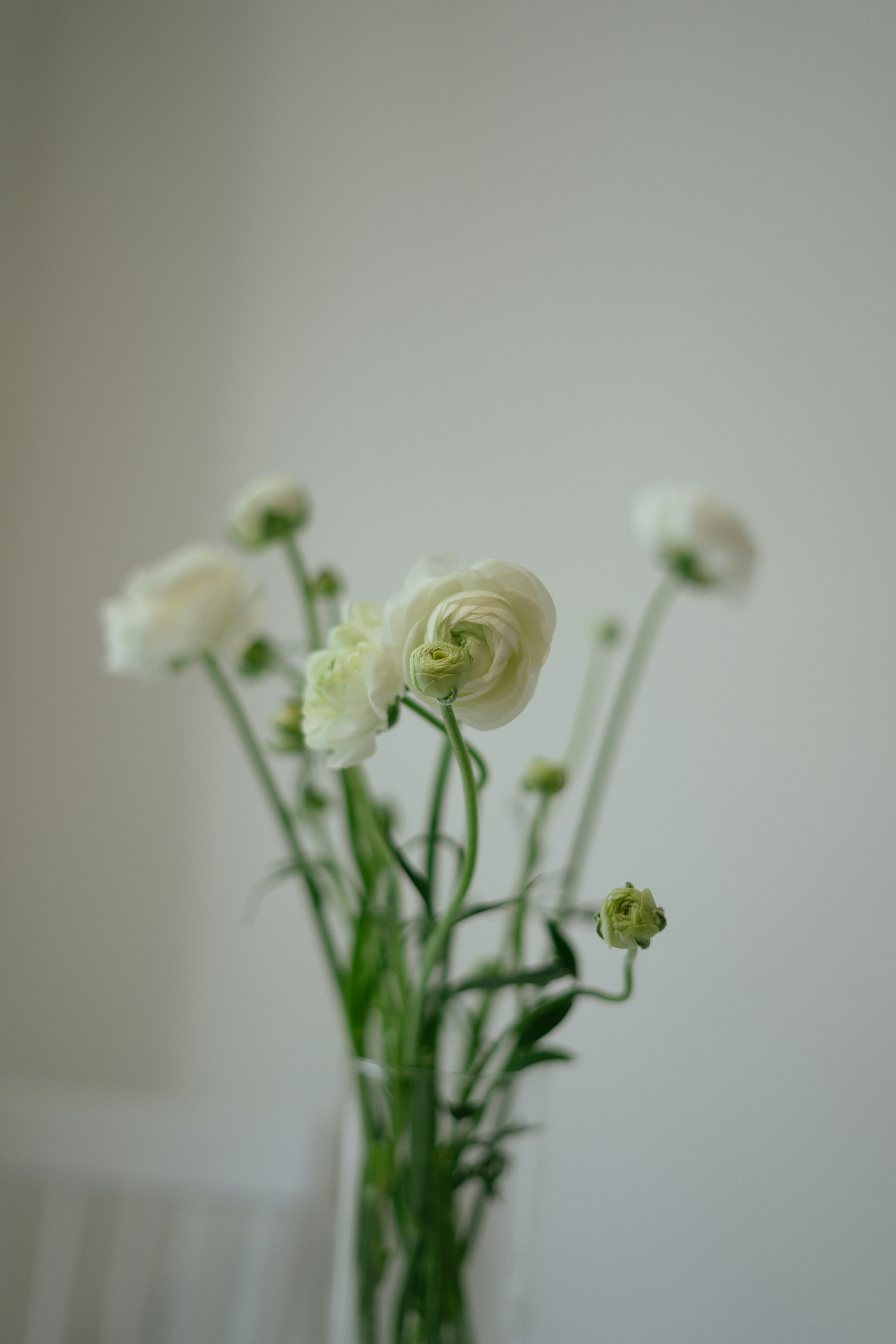 Photo by albina___white