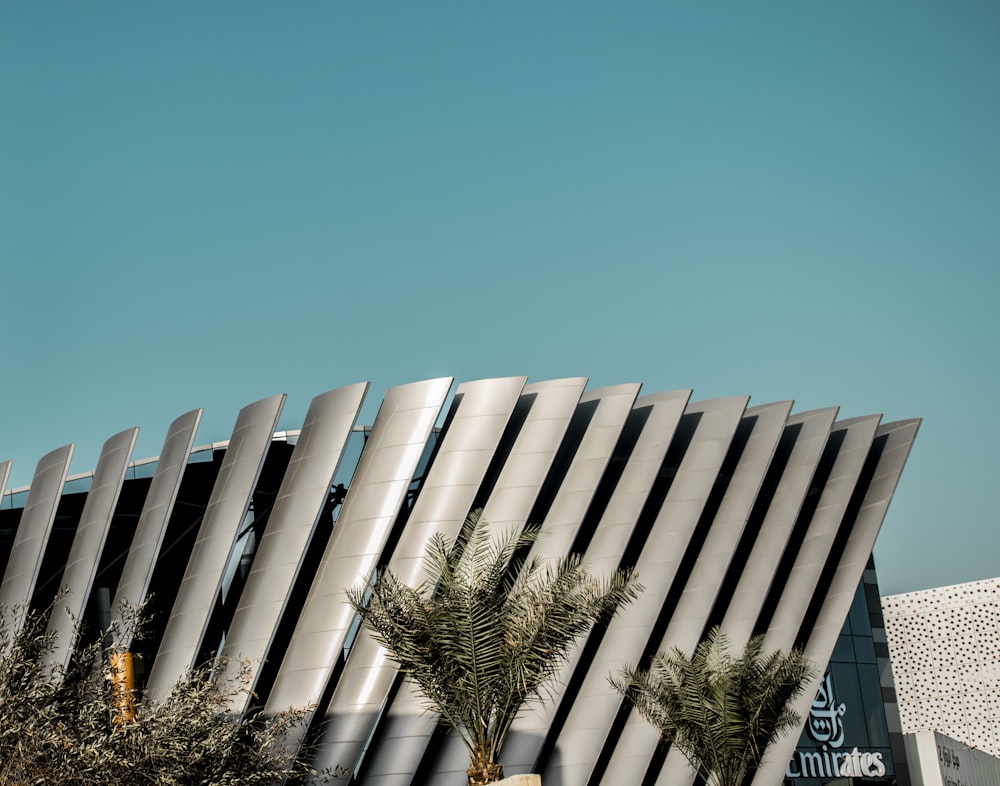 a tall building with a palm tree in front of it