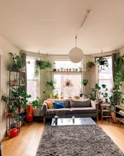 a living room filled with furniture and lots of plants
