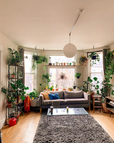 a living room filled with furniture and lots of plants