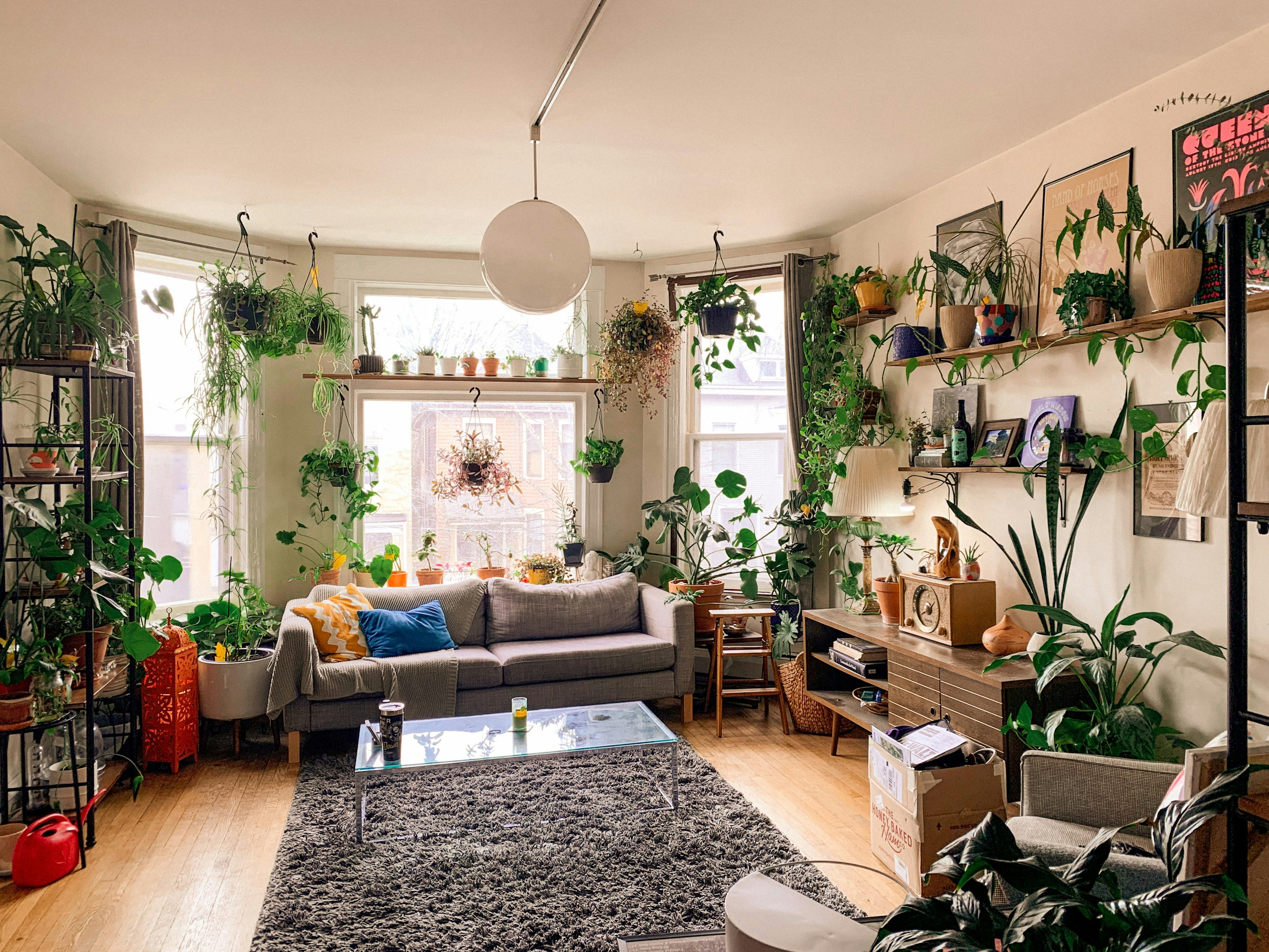 a living room filled with lots of plants and furniture, A living room in Logan Square