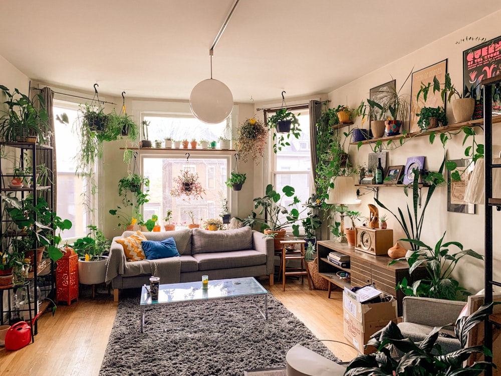 ein Wohnzimmer mit vielen Pflanzen und Möbeln