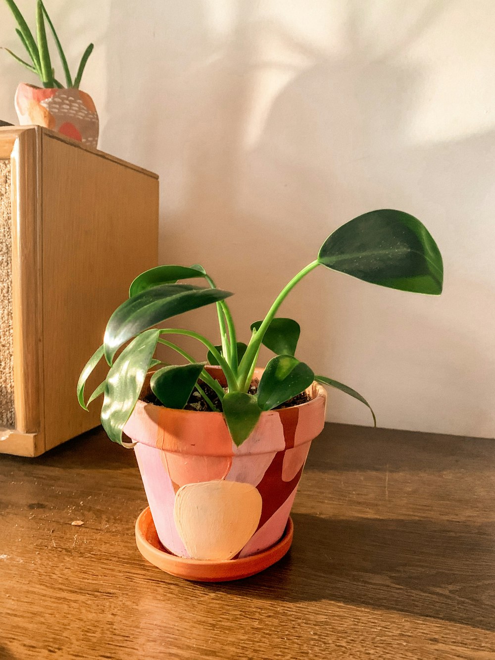 a potted plant sitting on top of a wooden table