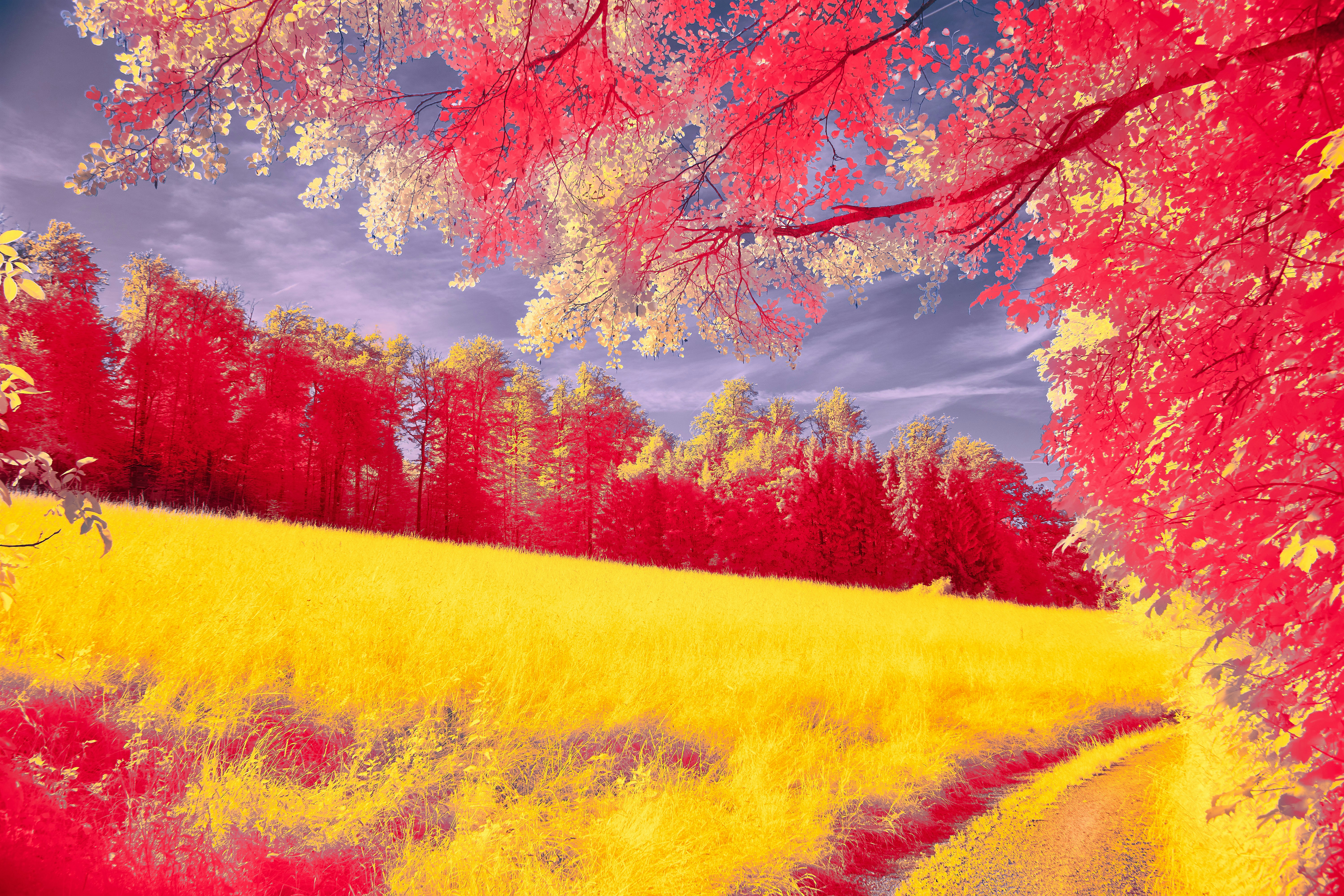 Photo by wolfgang_hasselmann