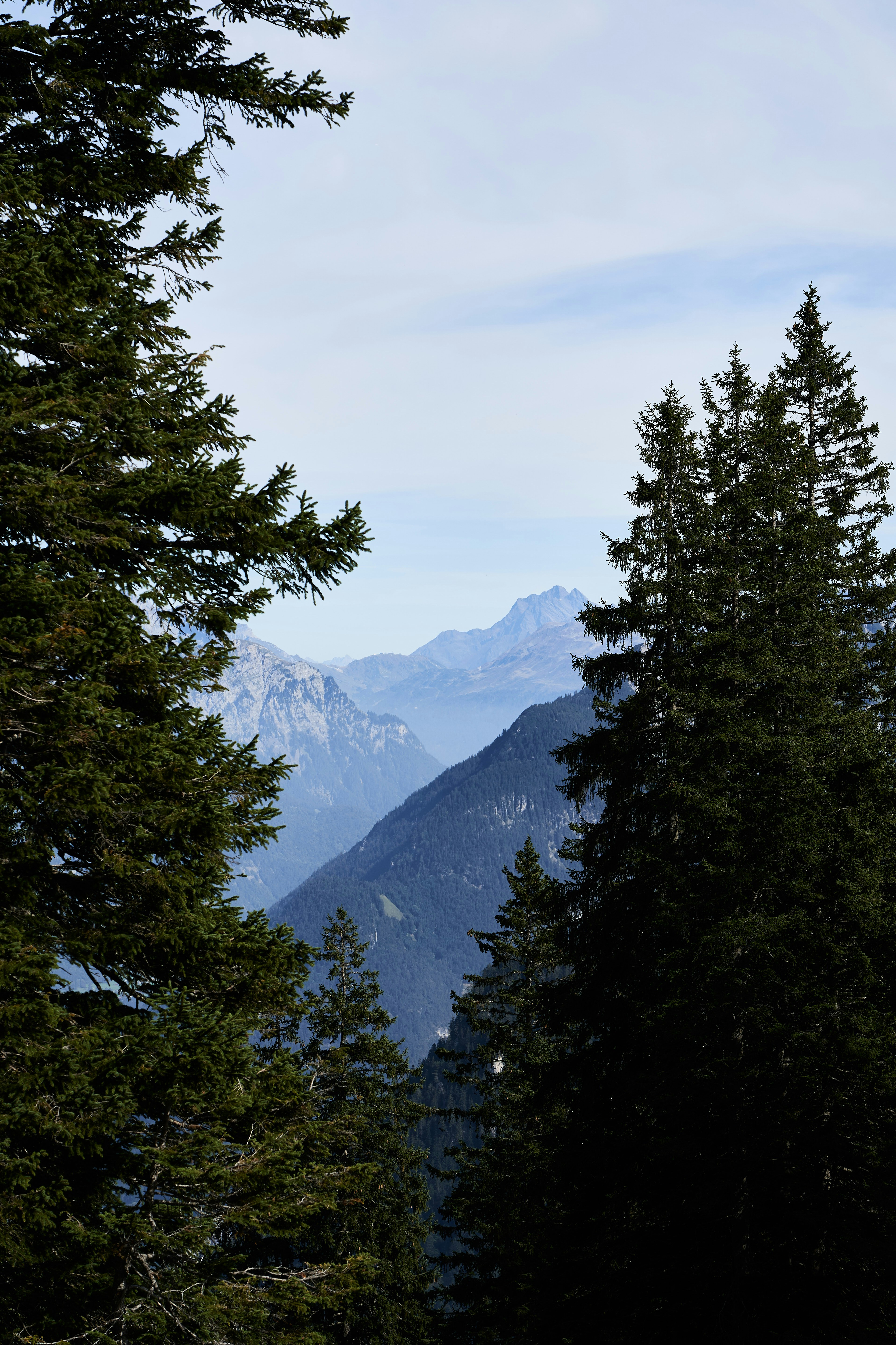 Photo by wolfgang_hasselmann