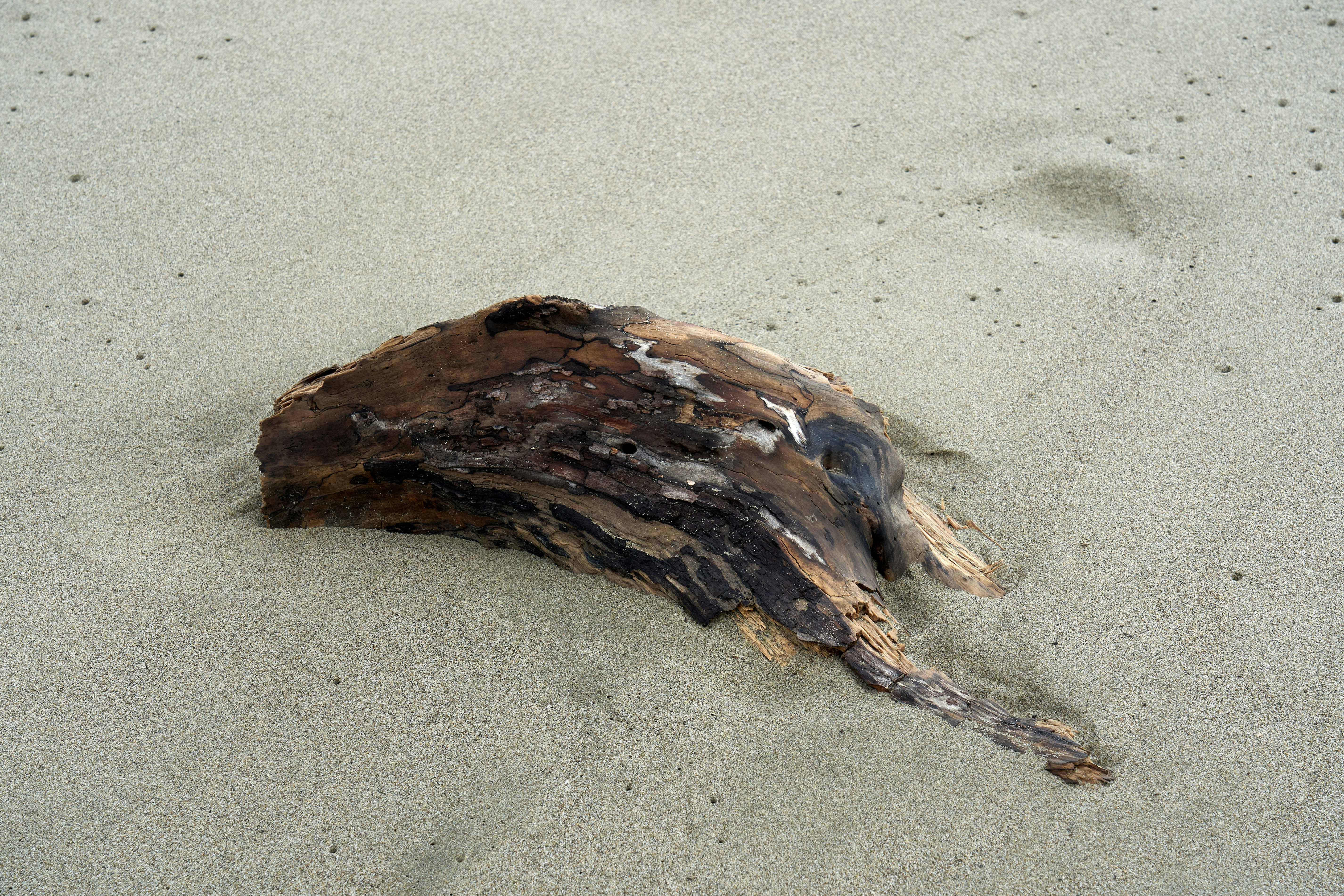 Photo by wolfgang_hasselmann