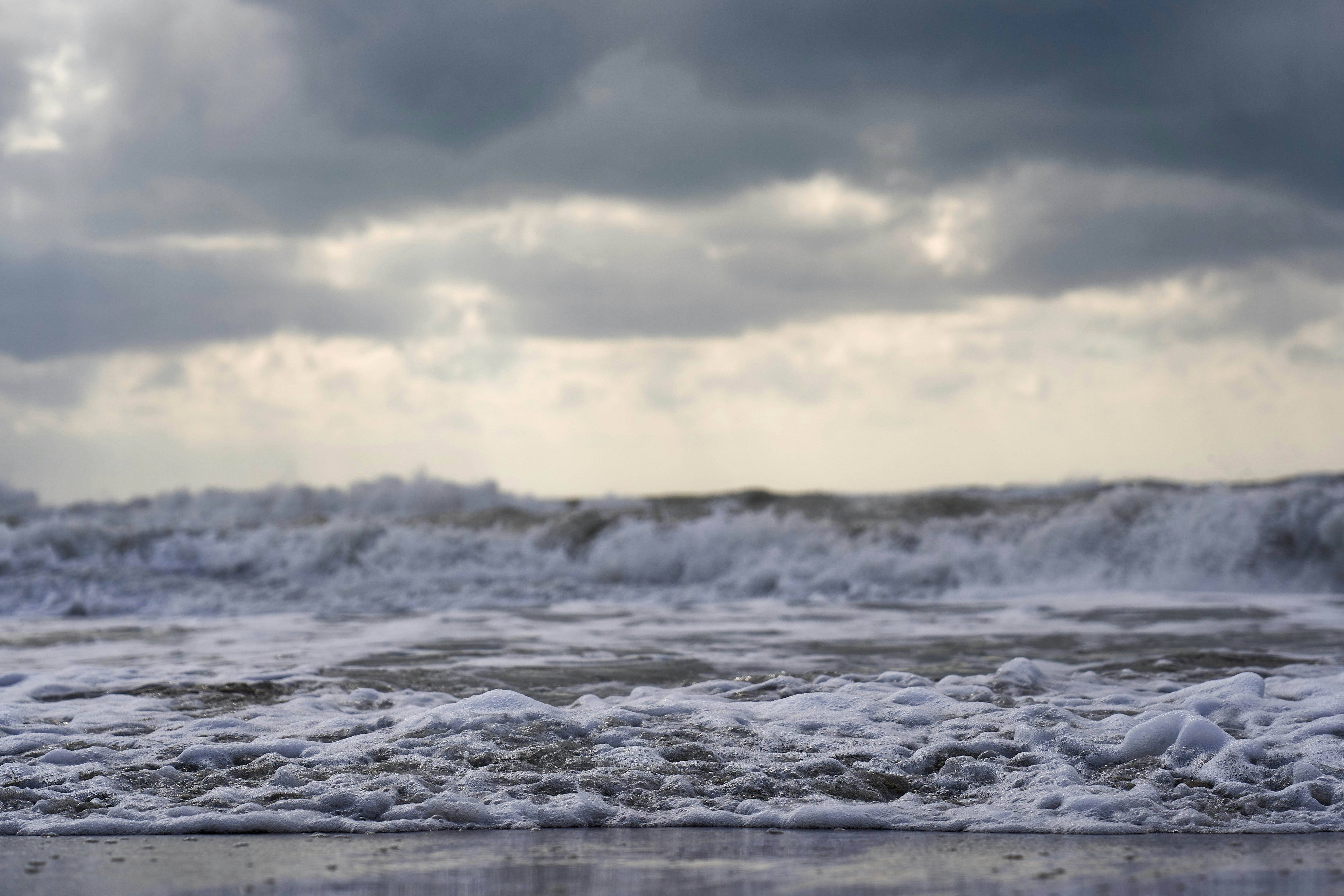 Photo by wolfgang_hasselmann