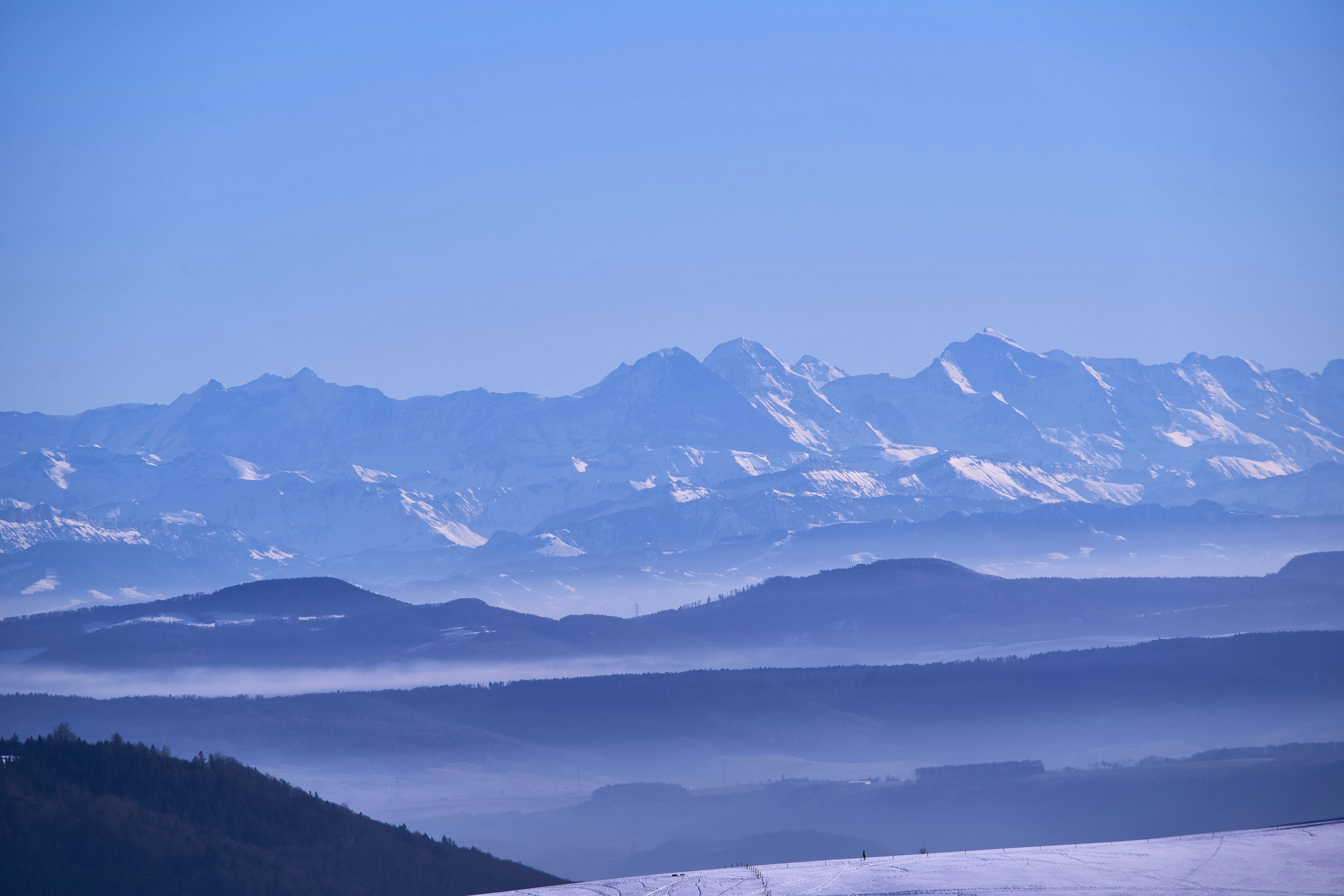 Photo by wolfgang_hasselmann