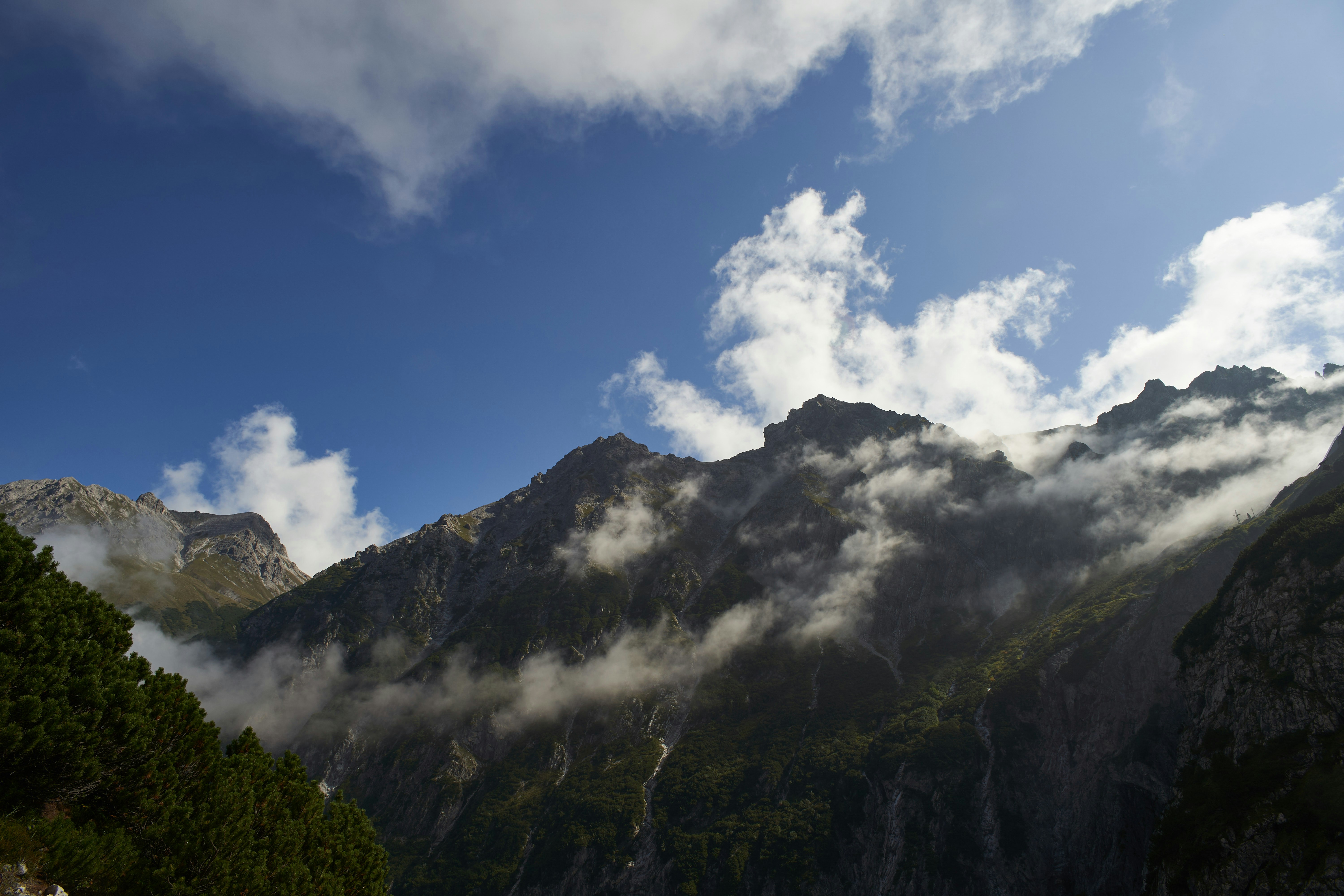 Photo by wolfgang_hasselmann