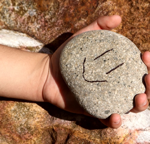 a hand holding a rock with a smiley face drawn on it