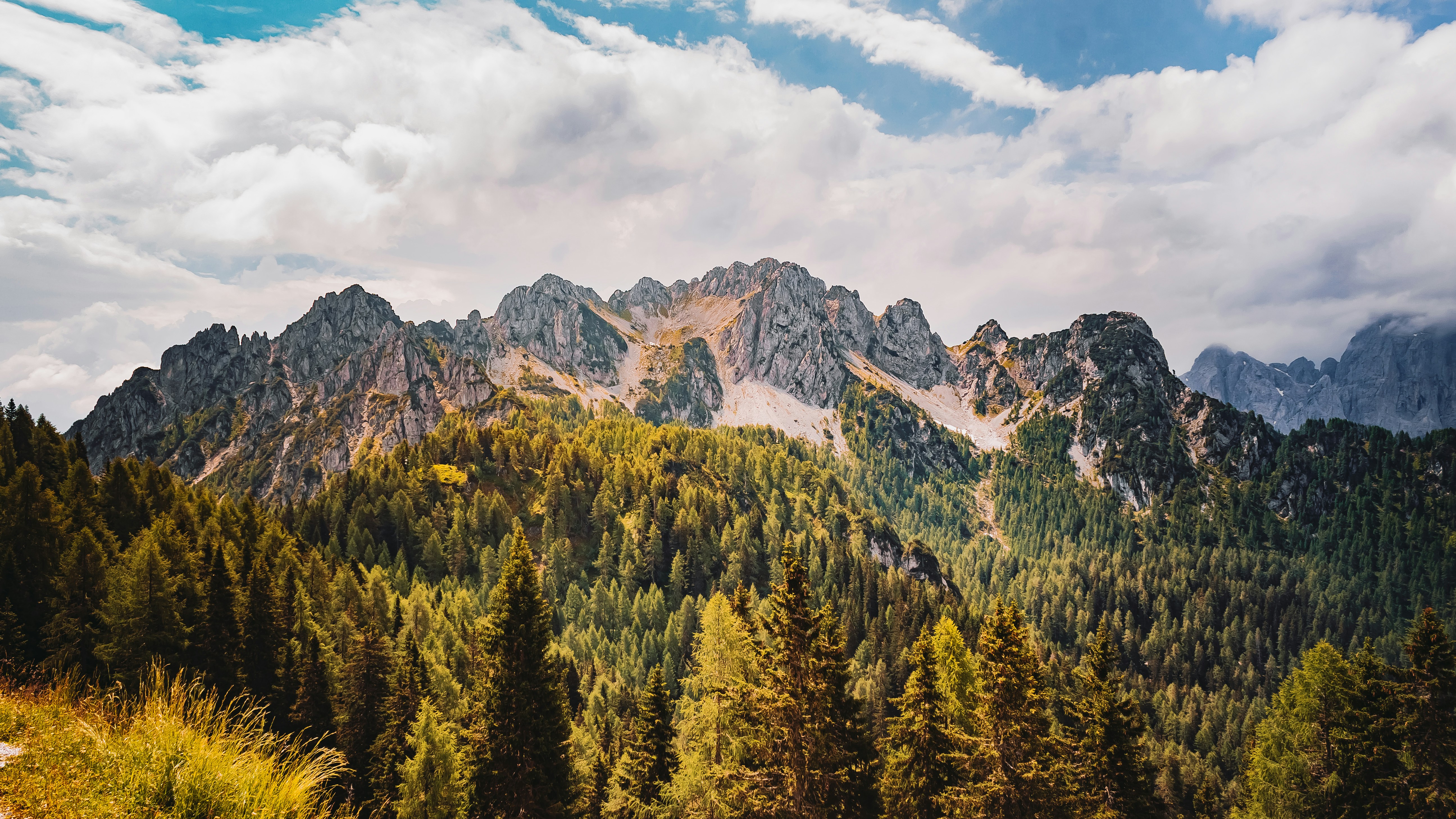 Photo by merlin_photo