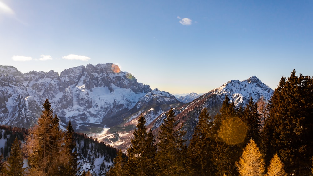 a view of a mountain range with trees in the foreground