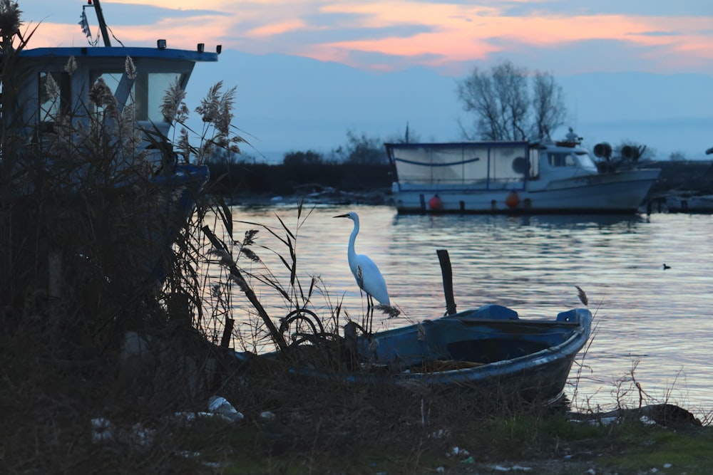 a boat sitting on top of a body of water