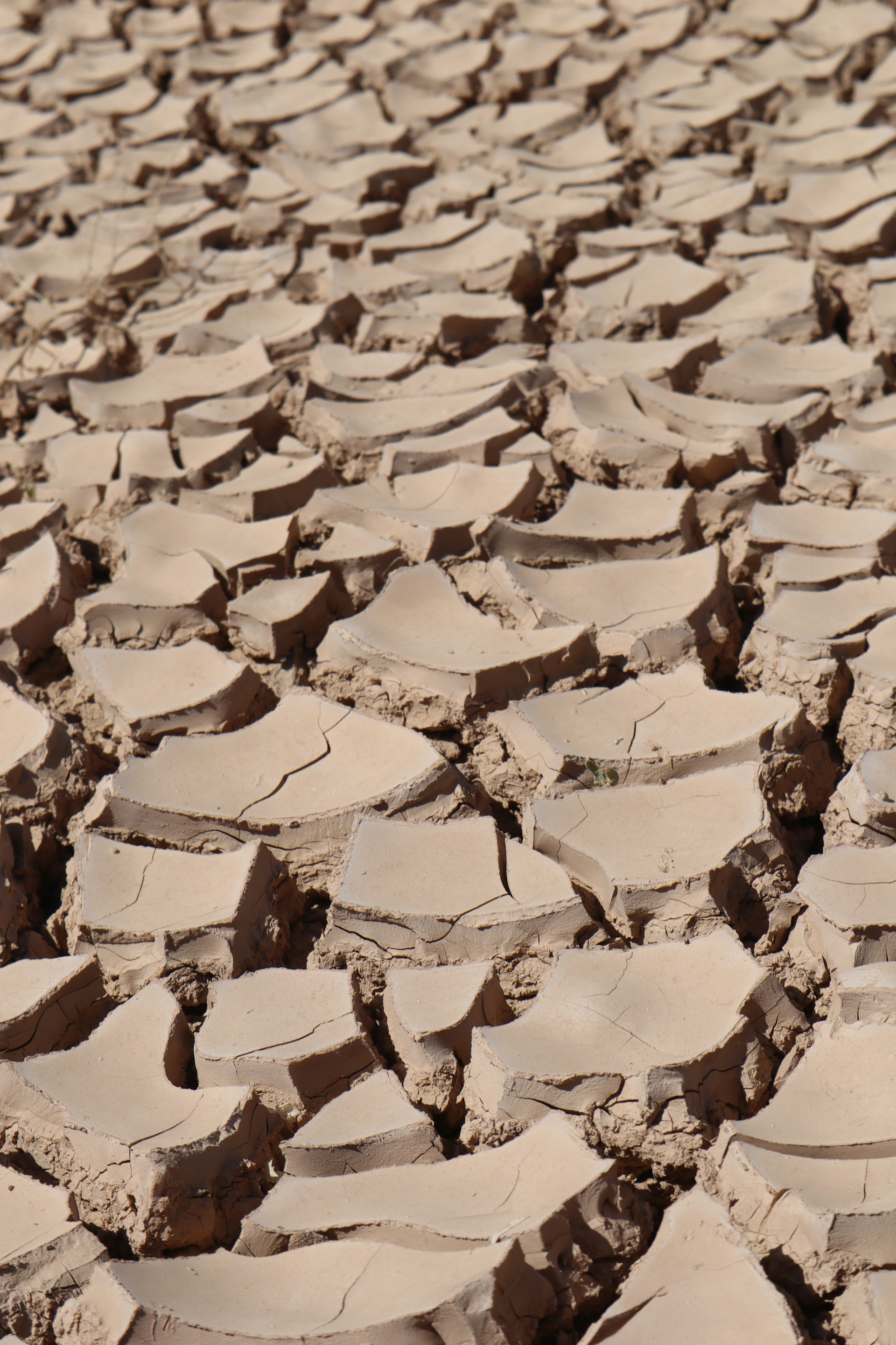a field that has a lot of dirt on it