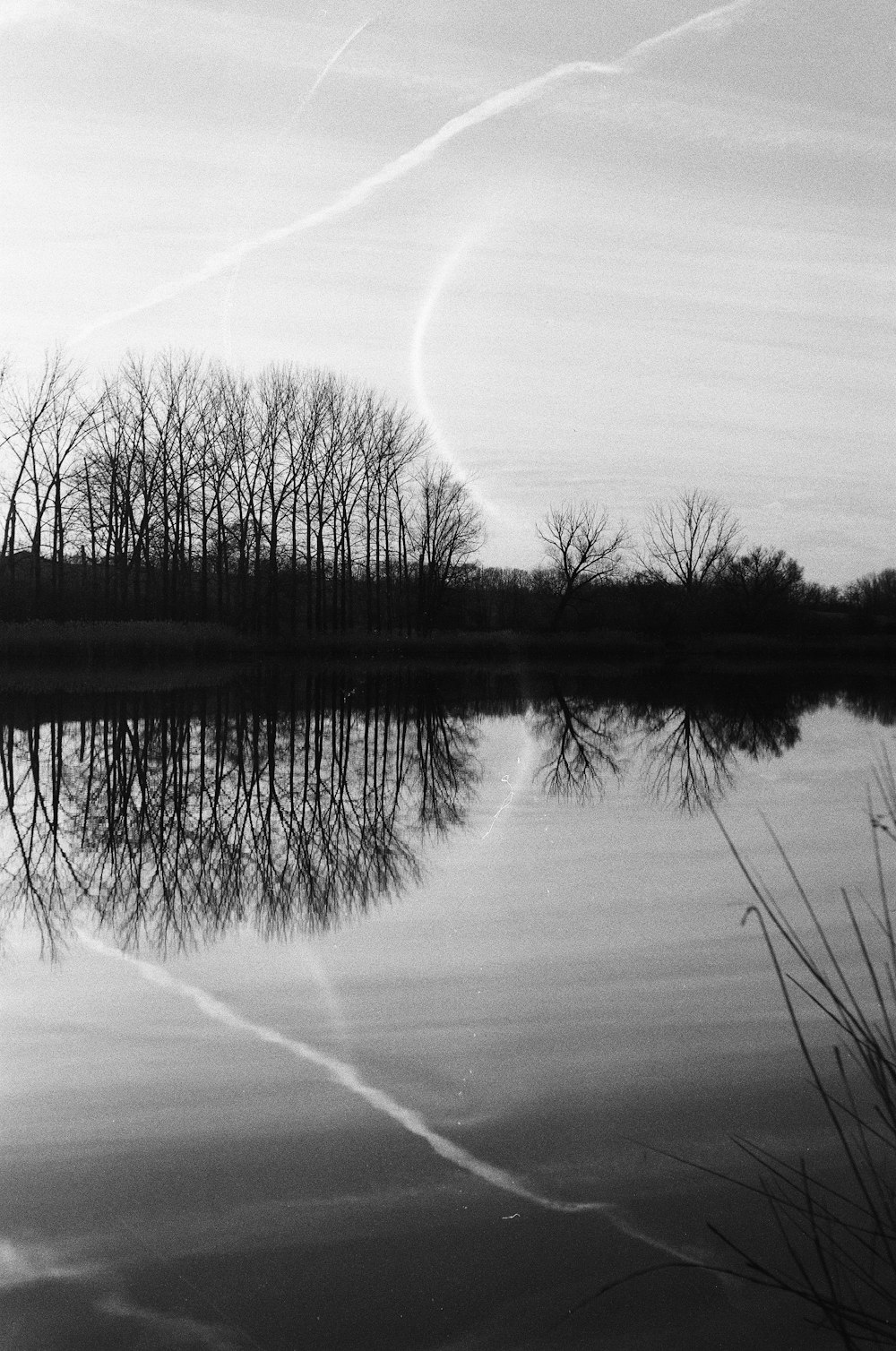 une photo en noir et blanc d’un lac avec des arbres en arrière-plan