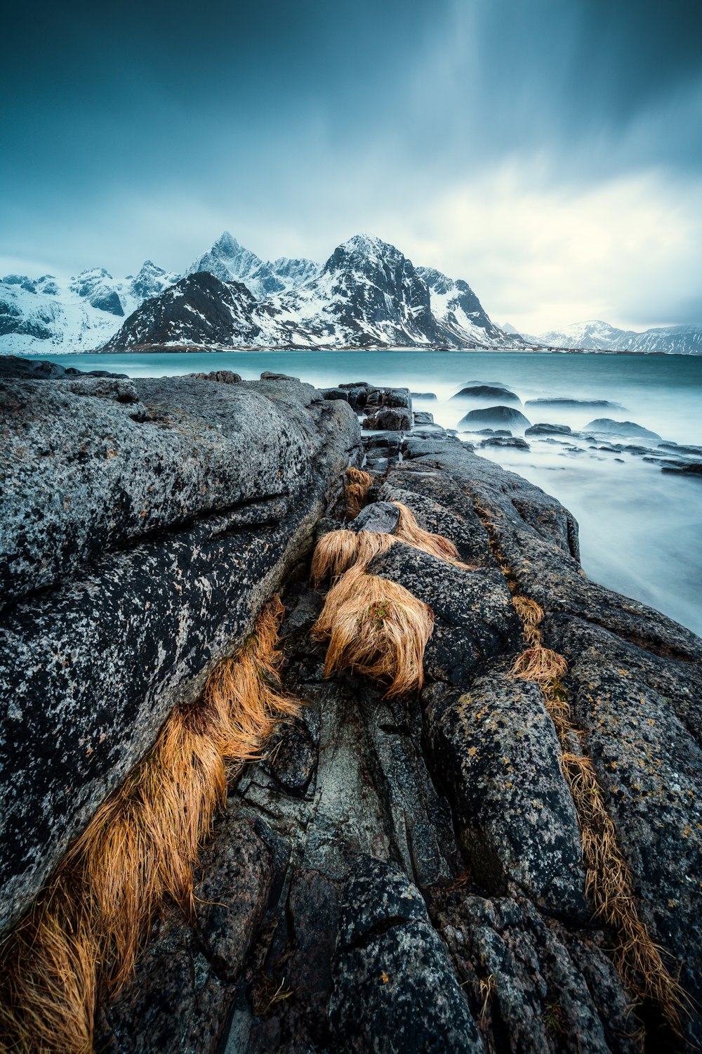 a dog laying on top of a large rock next to a body of water