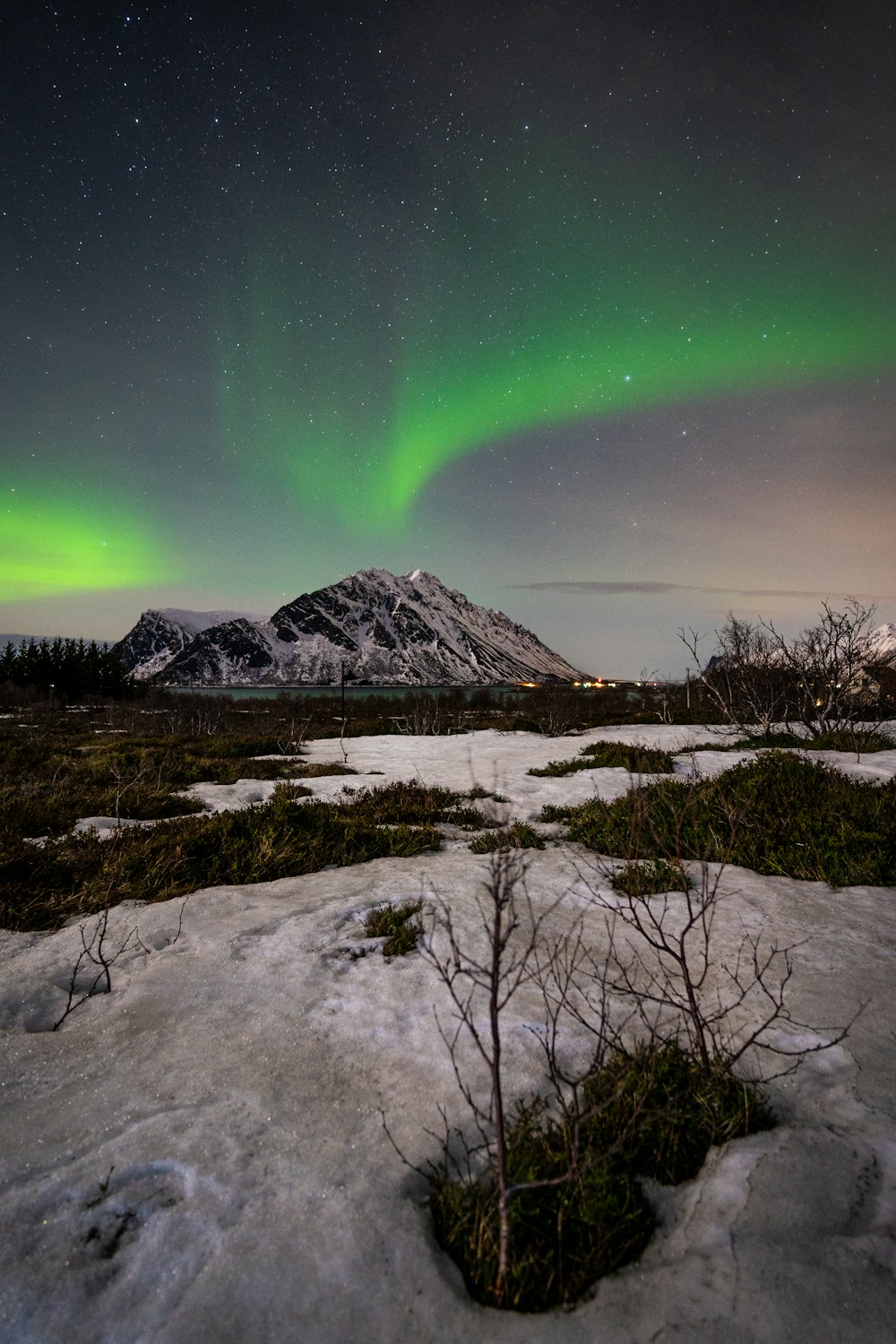 a green and purple aurora bore over a snowy field