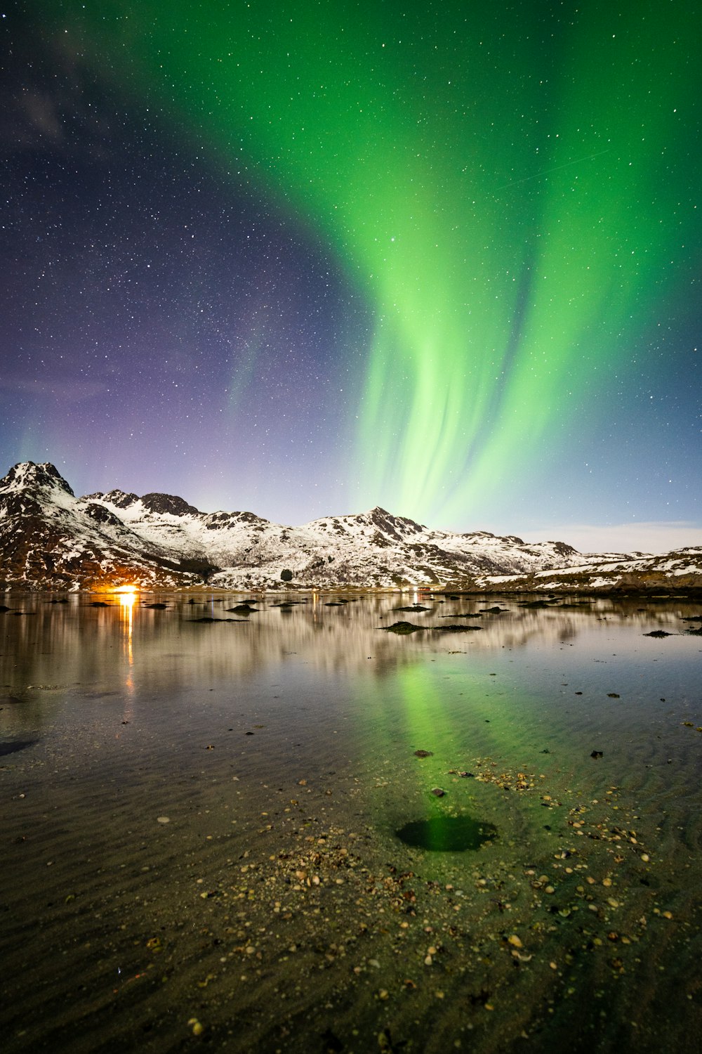 a green and purple aurora bore over a lake